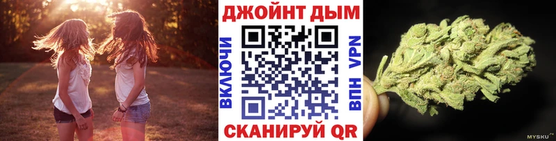 Каннабис сатива  Губкин 